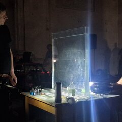 IV.performance