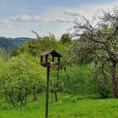 U Reného, basáka první sestavy